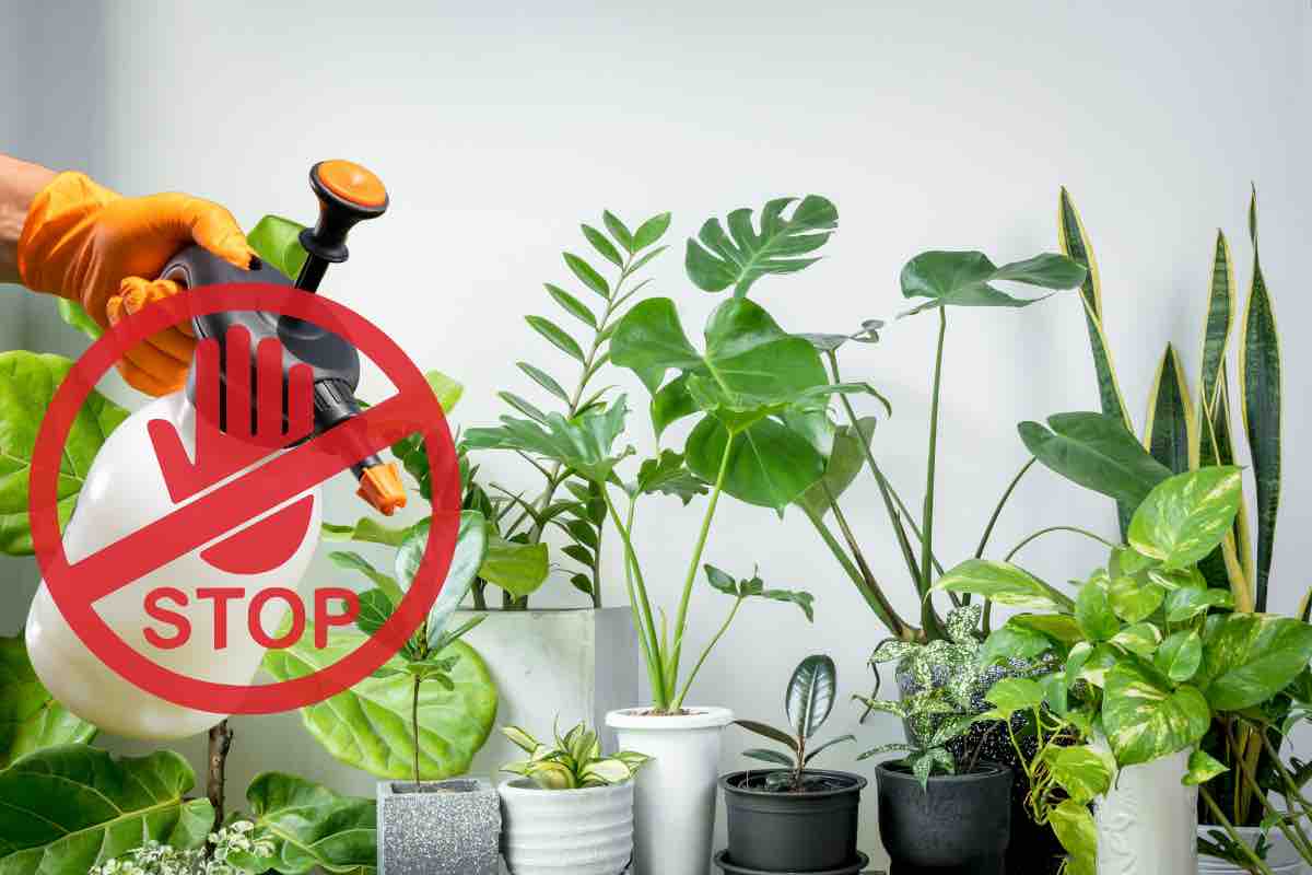 Stop prodotti chimici