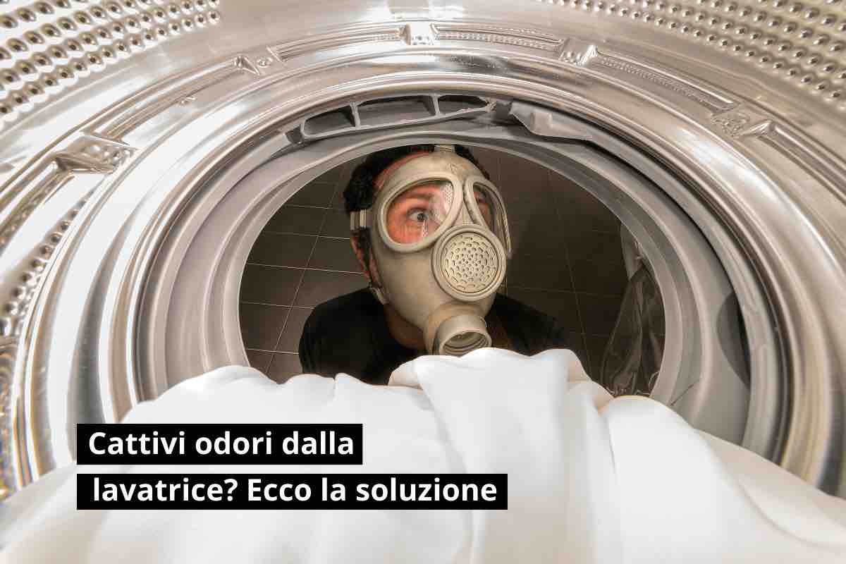 Odore