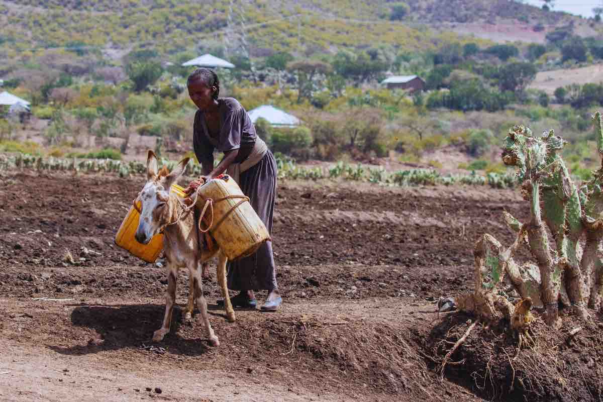Africa ed energia
