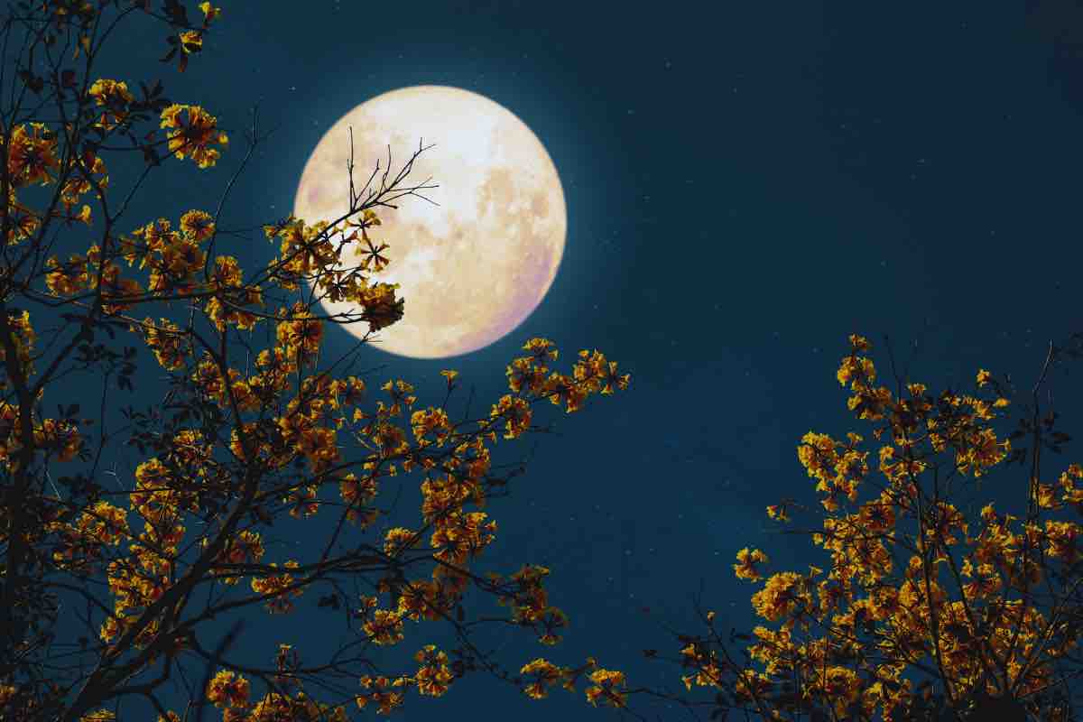 La Luna crescente