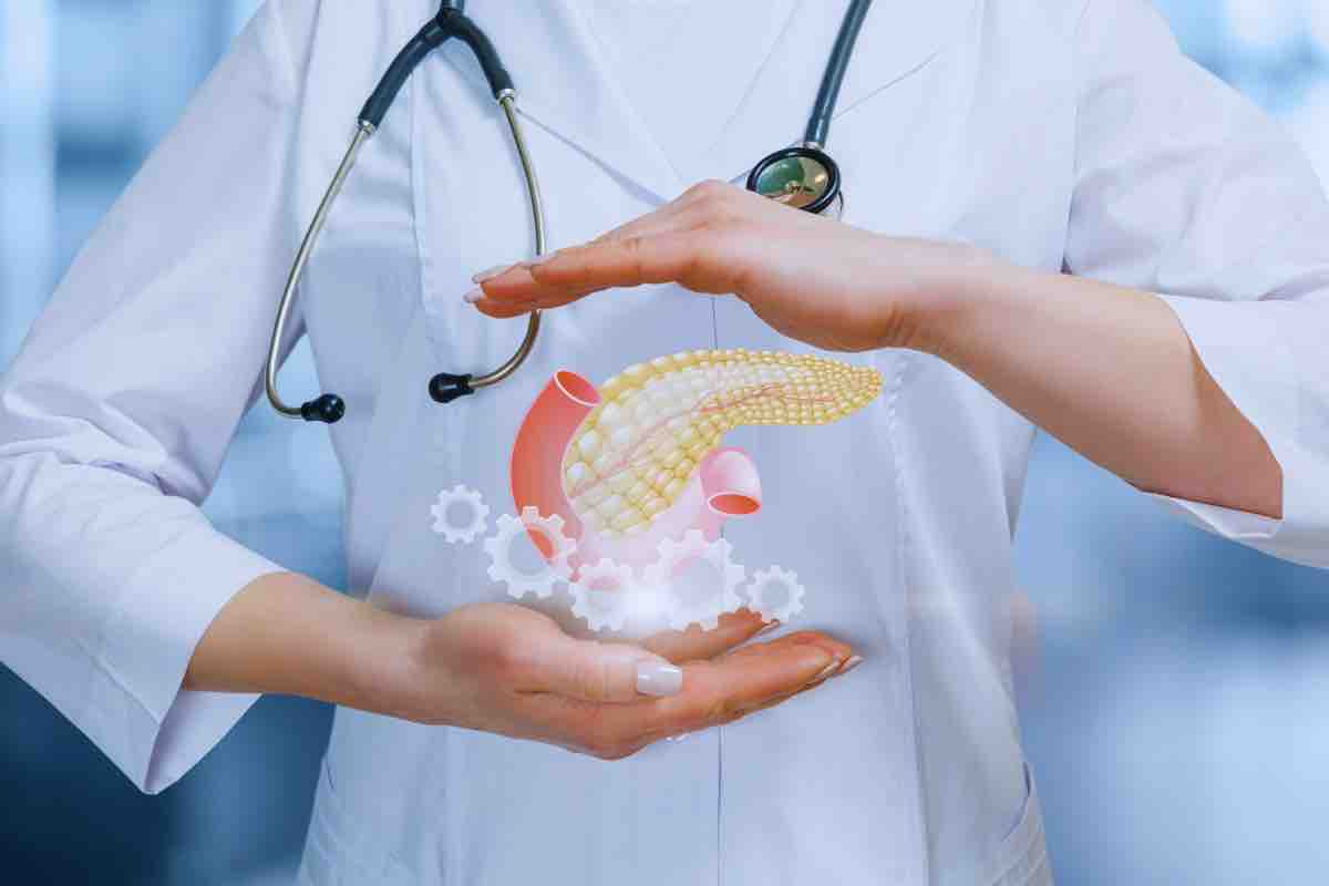 Pancreas