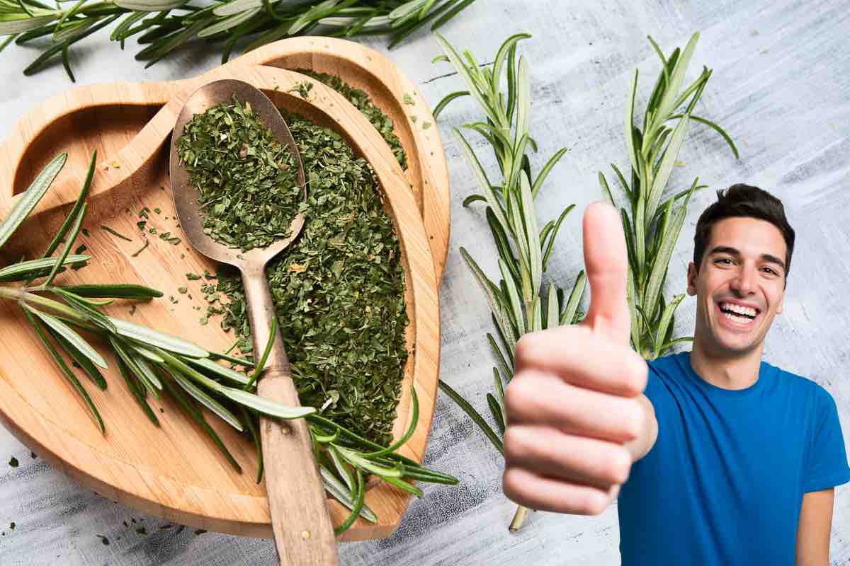 Non solo una pianta aromatica