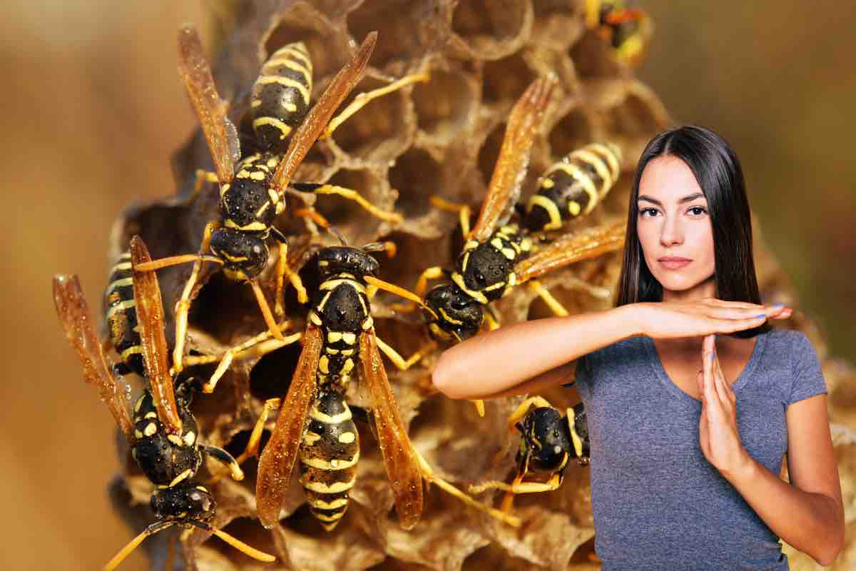 Il metodo naturale