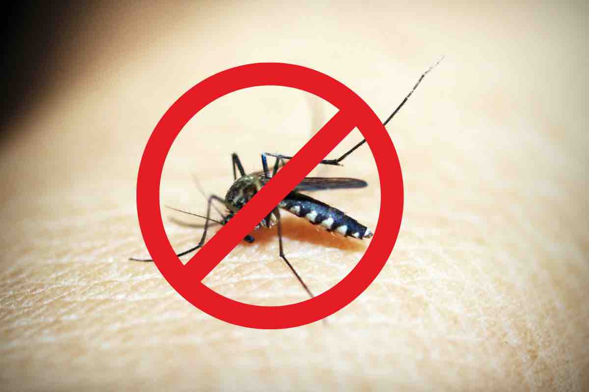 Repellenti